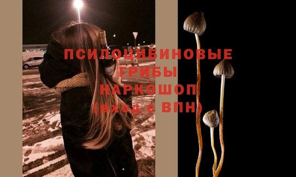 дмт Алексеевка