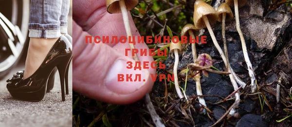 кристаллы Алексин