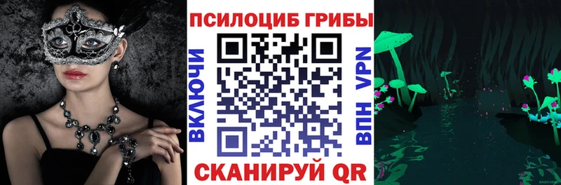 Псилоцибиновые грибы Cubensis  Навашино 