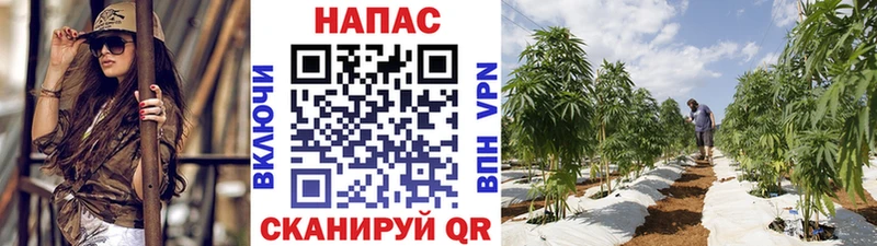 блэк спрут ссылка  где можно купить   Навашино  Конопля SATIVA & INDICA 